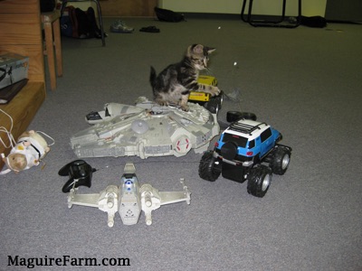 Banjo the tiger kitten on top of a toy Star Wars Millenium Falcon., X-Wing, and Remote Control Cars. He is batting his paw at the blue Toyota FJ Cruiser.