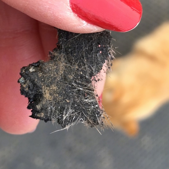 A person with red fingernails holding a piece of a shingle that shows glass fibers in it.