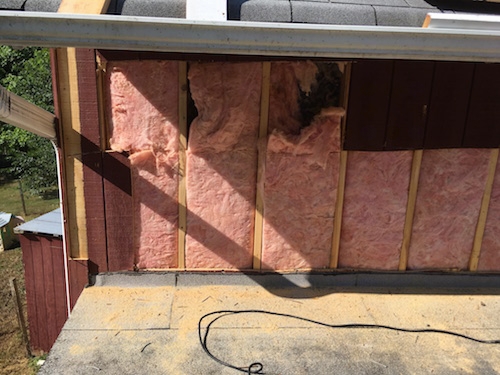 An outside wall of a red barn with the T1-11 removed showing pink batts of fiberglass. You can see the chicken coop off to the left in the distance.