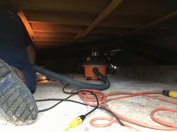 A man crawling into a basement crawl space with a shop vac.