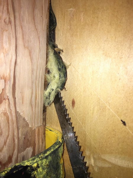 Close up - A crow bar and a saw prying out yellow fiberglass insulation that is stuck to black paper from behind a beam in a studded wall.