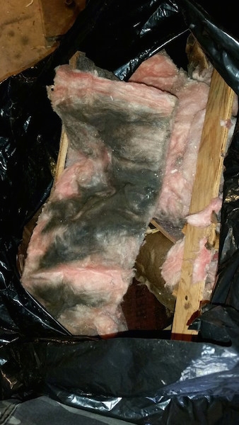 Pink insulation batts with black mold on them sitting inside of a black trash bag with wooden boards next to them.