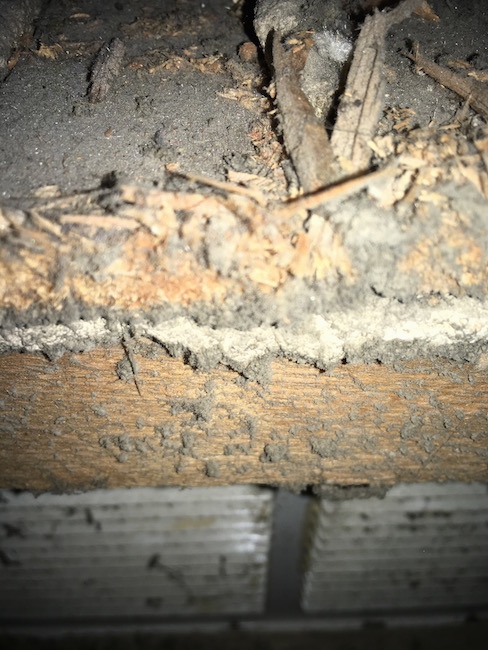 Gray dust and wood chips all around a white air return vent.