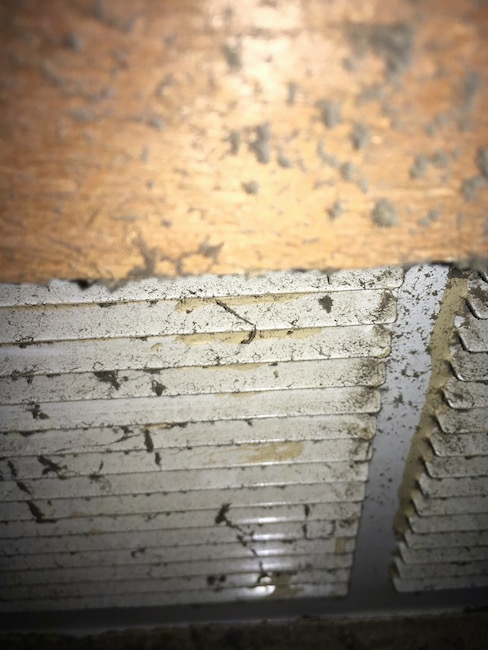 Gray dust all over a white air return vent and on the surrounding wood under an attic floor.