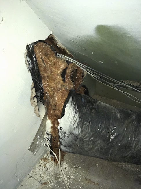 Flex ducts and white wires poking out of the wall of an attic. There is orange fiberglass hanging from the ducts.