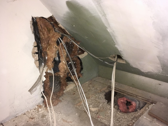 Four large black flex ducts with orange insulation hanging out of them poking out from inside of a wall up in an attic with gray blown in fiberglass sprinkled about on the floor where the boards were removed with a fifth duct that has pink insulation poking out of the floor among the gray blown in glass. There are white wires coming out next to the ducts and from a hole in the wall.