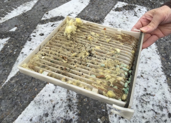 The cabin air filter of a car removed with a person holding it out showing the fiberglass all over it from the nest a mouse made in the car