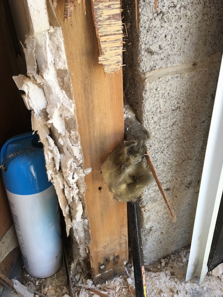 Close up of the end of a cinder block wall inside of a building showing a clump of moldy fiberglass sticking out from between the cinder blocks and the wood frame. There is a can of lysol disinfectant spray on the floor.