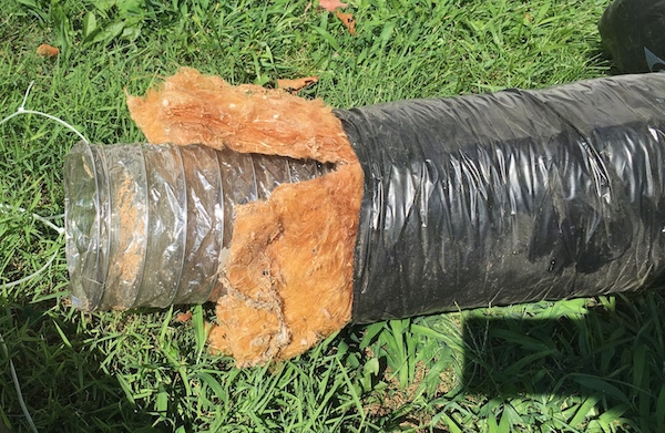 A black flex duct with orange fiberglass hanging out the end. The inside of the duct is a clear plastic. It is laying in the grass out in a yard after being removed.