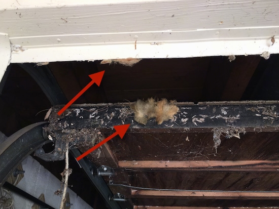 Fiberglass insulation sticking to the bottom and side of a garage door