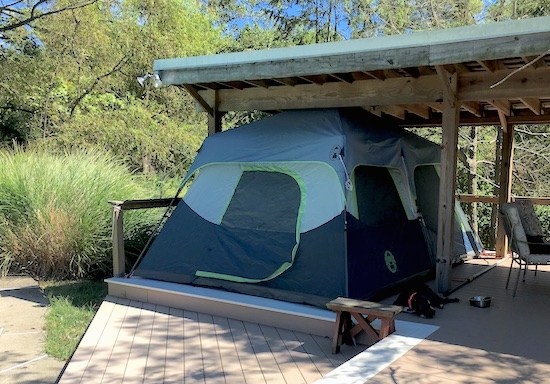 A blue and gray Coleman tent set up under the roof of a deck. There is a gray American Bully dog sleeping next to the tent.