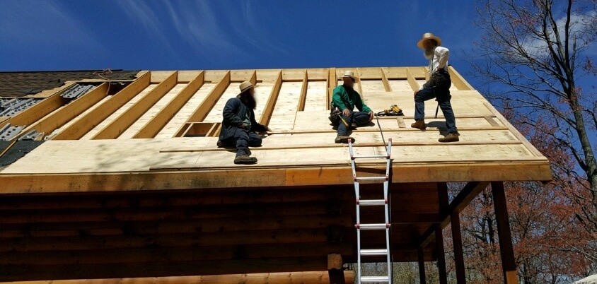 Three Amish men in straw hats on top of a log cabin roof that has had its shingles and plywood removed. The men are putting new plywood back.