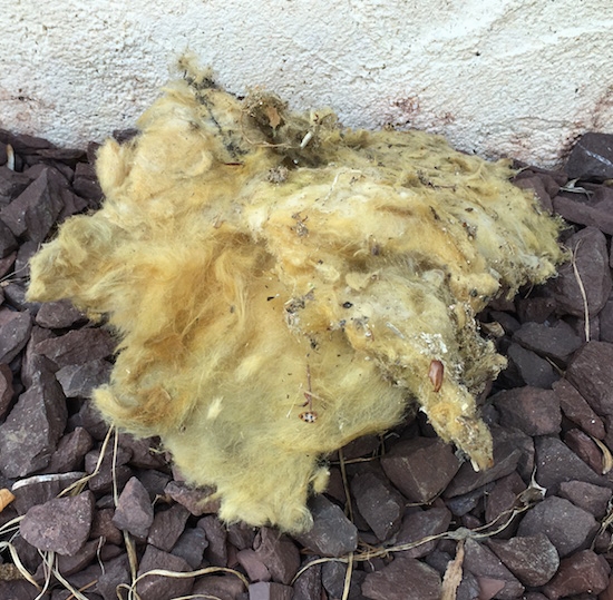 Fiberglass insulation sticking to the bottom and side of a garage door