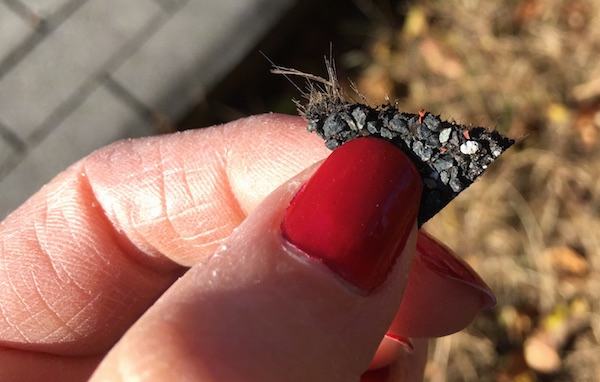 A hand with red painted fingernails holding a small corner piece of roof shingle. You can see tiny hair-like fibers sticking out of the ripped end.