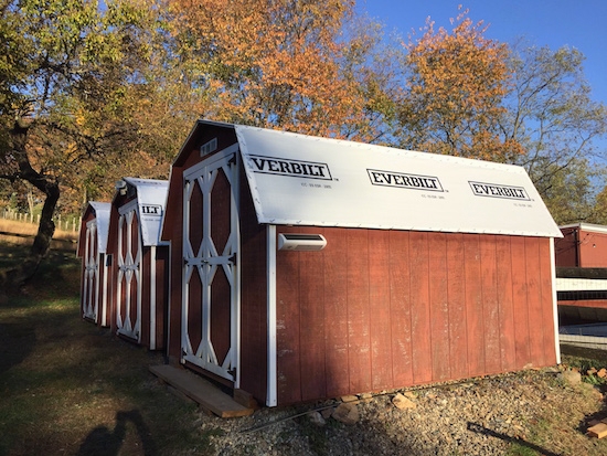 Three small red sheds all lined up in a row with the shingles removed and new Everbilt paper showing.