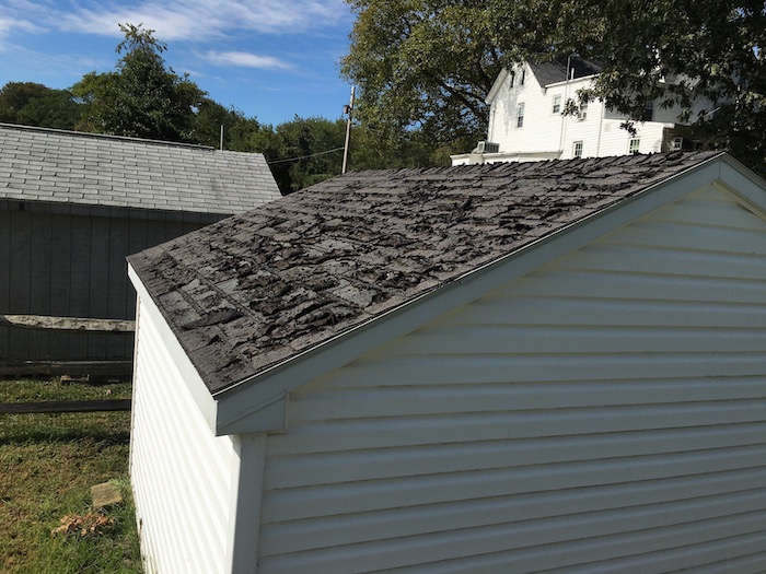 A white shed with black shingles that are curled and worn out. There is another gray shed and a white farm house behind it.