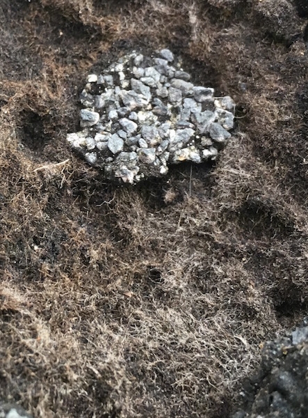 An old roof shingle that is warn down. You can see a web of white glass fibers around the small patch of asphalt that is left.