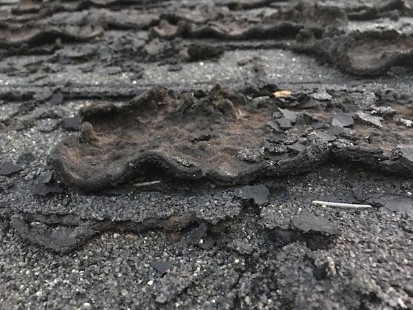 An old black curled roof shingle.