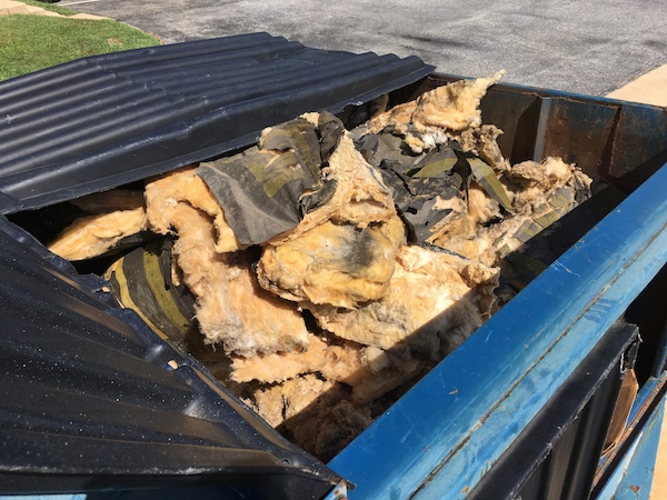 A blue dumpster full of moldy fiberglass insulation.