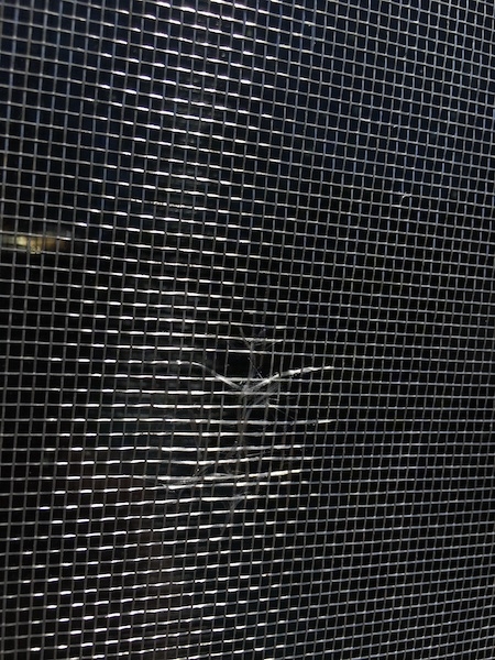 A window screen with a black background. Some of the mesh is fraying.