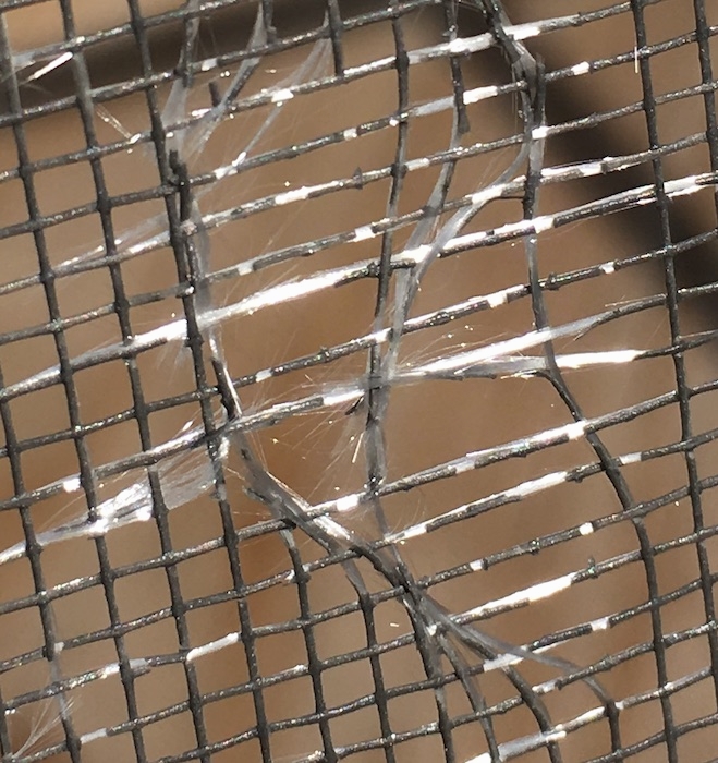 Close up - A fraying window screen with white glass fibers exposed.