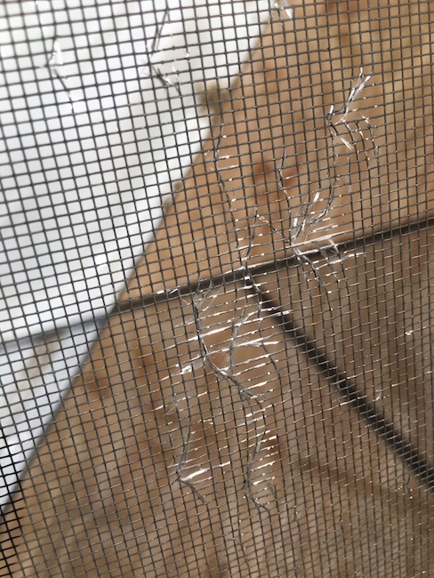 A fraying window screen with white glass fibers exposed.