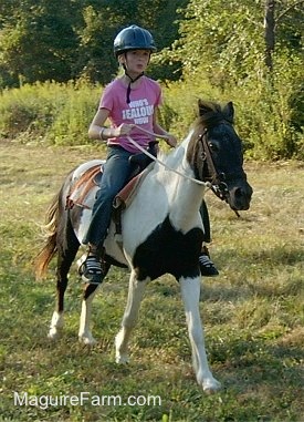A girl in a pink shirt is stopping the brown and white pony she is riding.