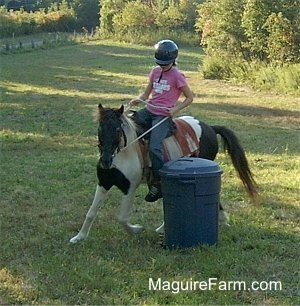 A girl in a pink shirt making a brown and white pony circle a blue trash can with a lid on it.