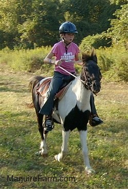 A girl in a pink shirt and blue helmet riding a brown adn white paint pony is coming to a stop after running in a field.