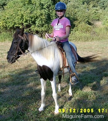 An girl in a pink shirt  and blue helmet is sitting on top of a brown and white paint pony in a field.