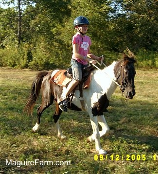 Action shot - a girl in a pink shirt and blue helmet is riding a brown and white paint pony around a field
