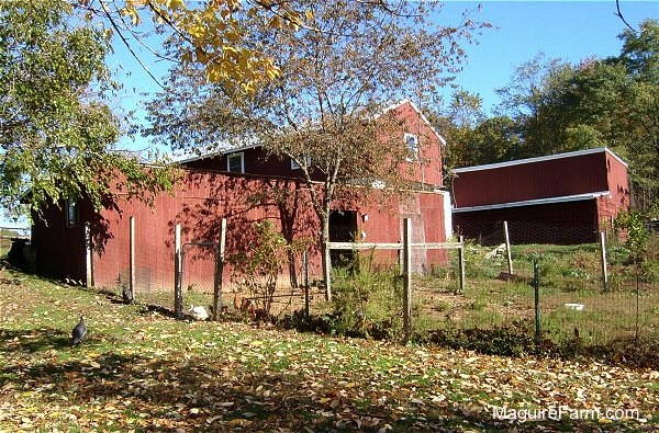A red barn type building with a fenced in area with two larger red barns in the background
