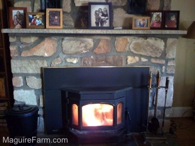 A Fire is blazing in a wood burning stove