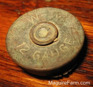 Close Up - A 12 gauge shotgun shell on a wooden table. The Words - W-N 12 Gauge - are on the shell