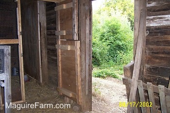 View from inside the barn. The coop door is open and the barn door is open