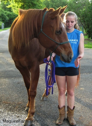 A Blonde haired girl in a Blue shirt is standing next to a brown with white horse. She has her hand out and the horse is moving its head near the hand