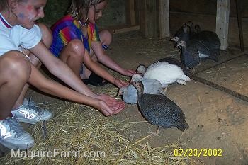 Two girls are feeding the keets with food in there hands