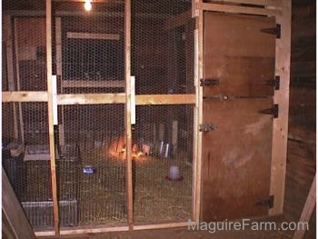 The new keet coop inside of a chicken coop barn. It has a wooden door and a wire mesh wall strengthened by wood beams.