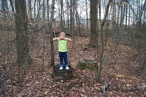 A blonde-haired girl in a lime green shirt is standing on a tree stump. She is making a face with a finger at the edge of each side of her mouth and pulling it down while sticking her tongue out.