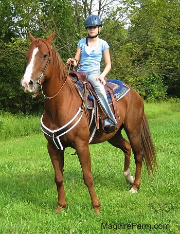 A girl in a blue shirt and blue helmet is sitting on the back of a brown with white horse out in a field with trees behind them