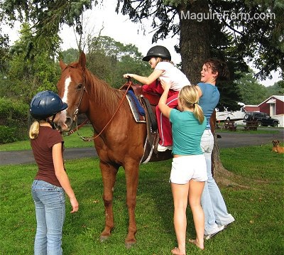 A little girl in a white shirt and black helmet is being helped onto a brown with white horse by a girl in a turquoise shirt and a girl in a blue shirt. The blond haired girl in the blue helmet is standing in front of the horse