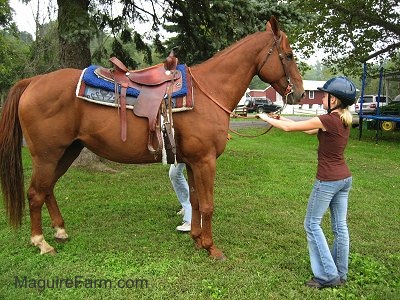 A blonde haired girl in a blue helmet and brown shirt is standing in front of a tacked up brown with white horse in a yard. There is a red barn, a white Toyota Land Cruiser a John Deere tractor and a trampoline in the distance. A second person is next to the horse almost out of sight.