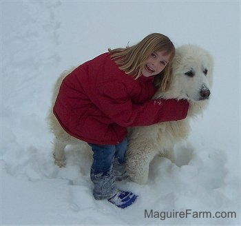 Maguire Farm, The Great Pyrenees, Page 6