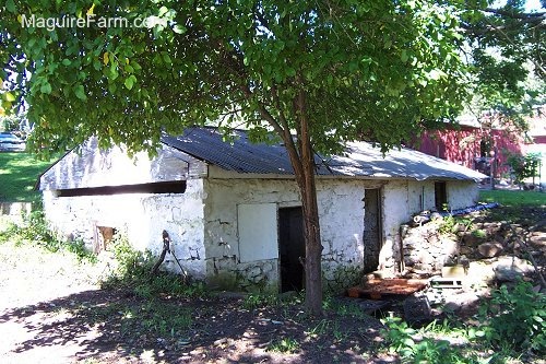 Front view of the old stone springhouse. There is a red chicken coop behind it.