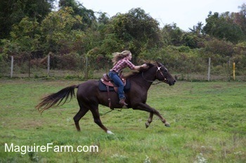 Action shot - A blonde-haired girl is riding a dark brown horse through a field